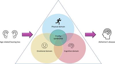 Frailty Syndrome and Oxidative Stress as Possible Links Between Age-Related Hearing Loss and Alzheimer’s Disease